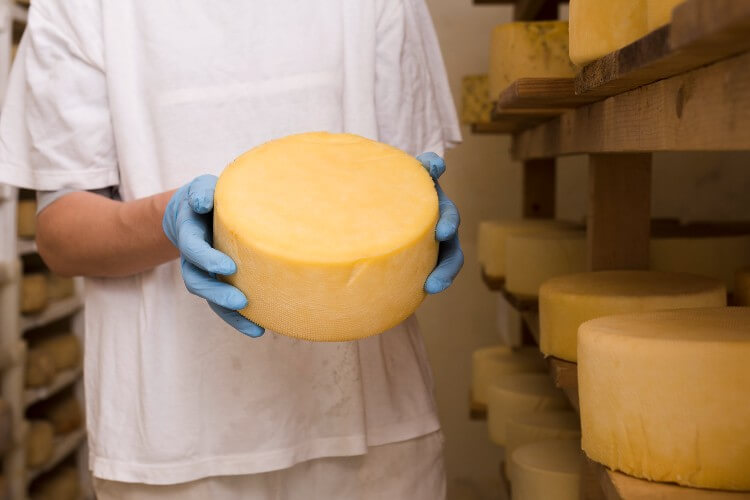 kézműves sajtkészítők - HUGI SAJT